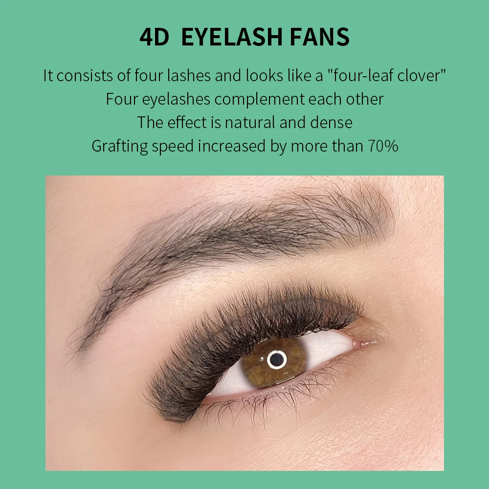 GLAMLASH 4D W 모양 속눈썹 연장 미리 만들어 - Eyelash Extension For Asian Eyes 리뷰 및 가격