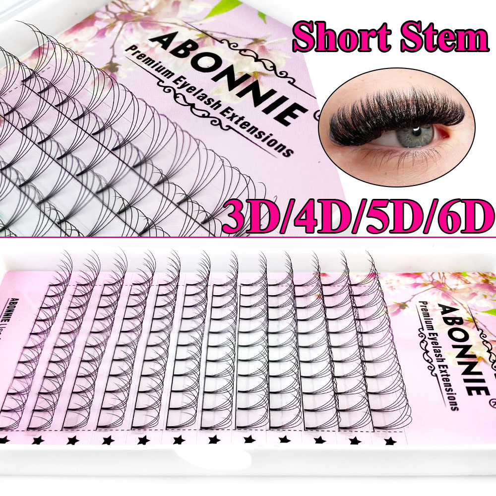아보니 6D 내로우 팬 프리메이드 팬 러시안 볼륨 팬  - Eyelash Extension For Asian Eyes 리뷰 및 가격